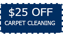 carpet cleaning services